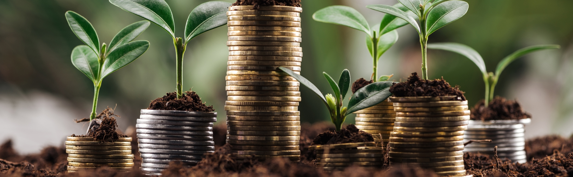 money stacks with plants